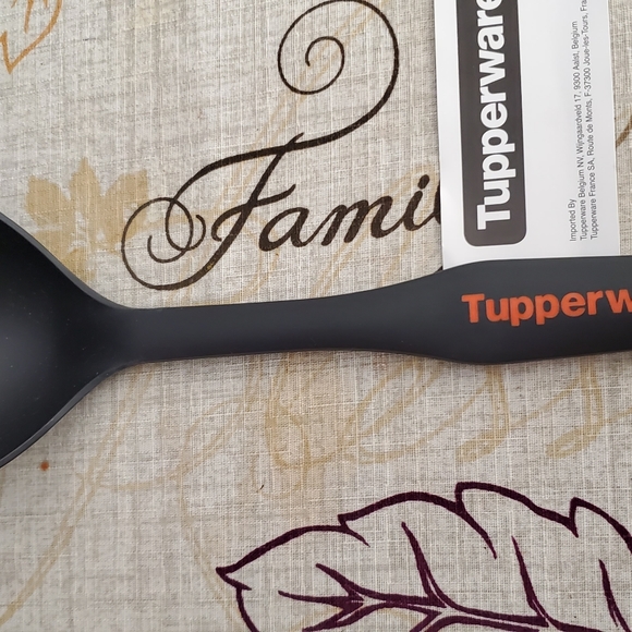 Spoon - Picture 4 of 4